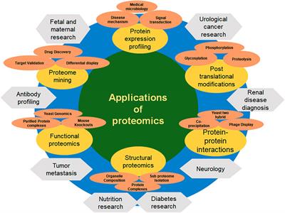 Lipidomics and proteomics: An integrative approach for early diagnosis of dementia and Alzheimer’s disease